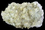 Plate Of Gemmy, Chisel Tipped Barite Crystals - Mexico #84424-1